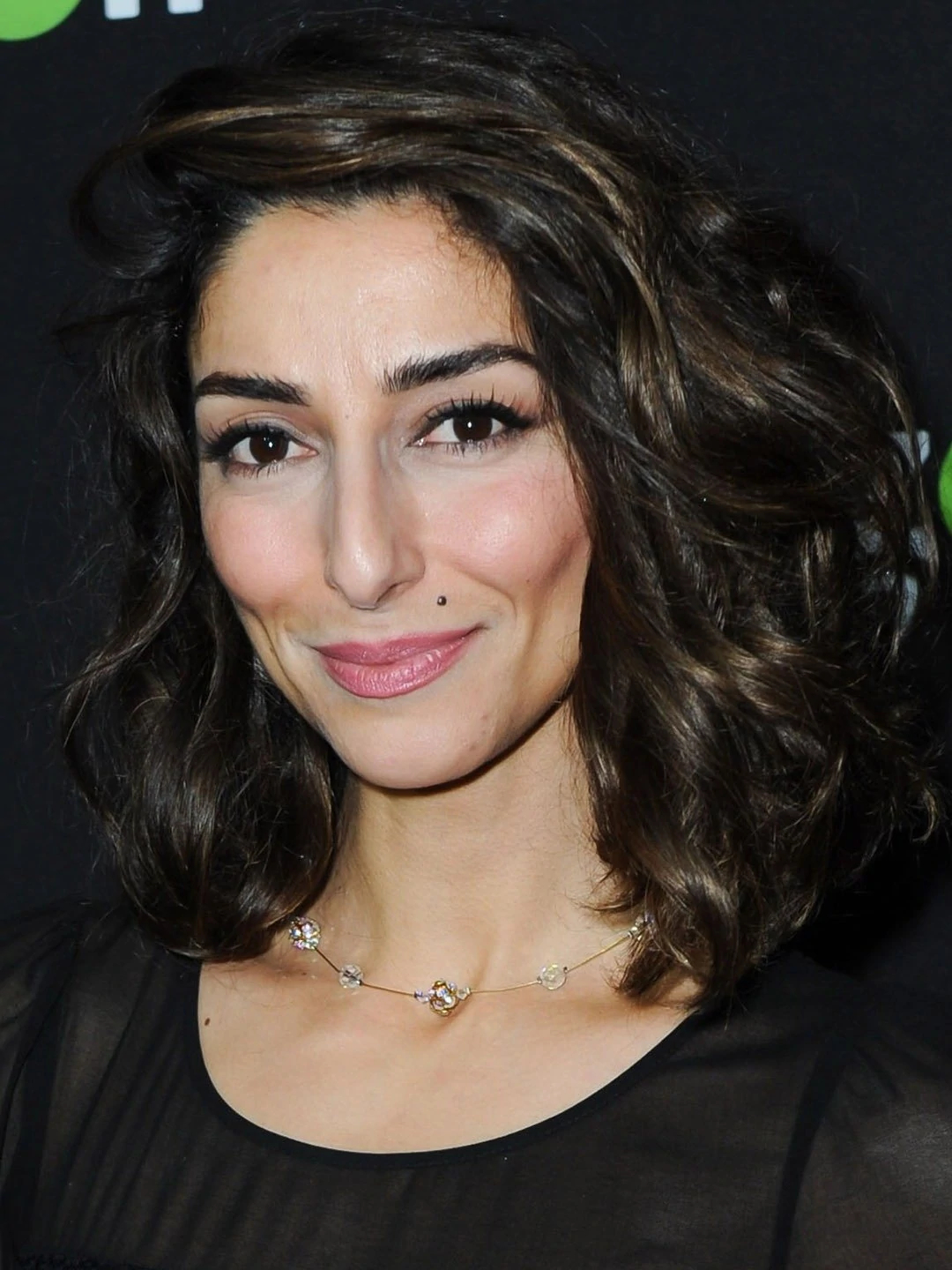 Necar Zadegan's : Biography, Net Worth, Birthday, Age, Physical Stats ...