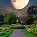 The Impact of Moon Gardening on Plant Growth