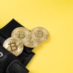 Are Crypto Storage Options Better Than Traditional Bank Accounts?