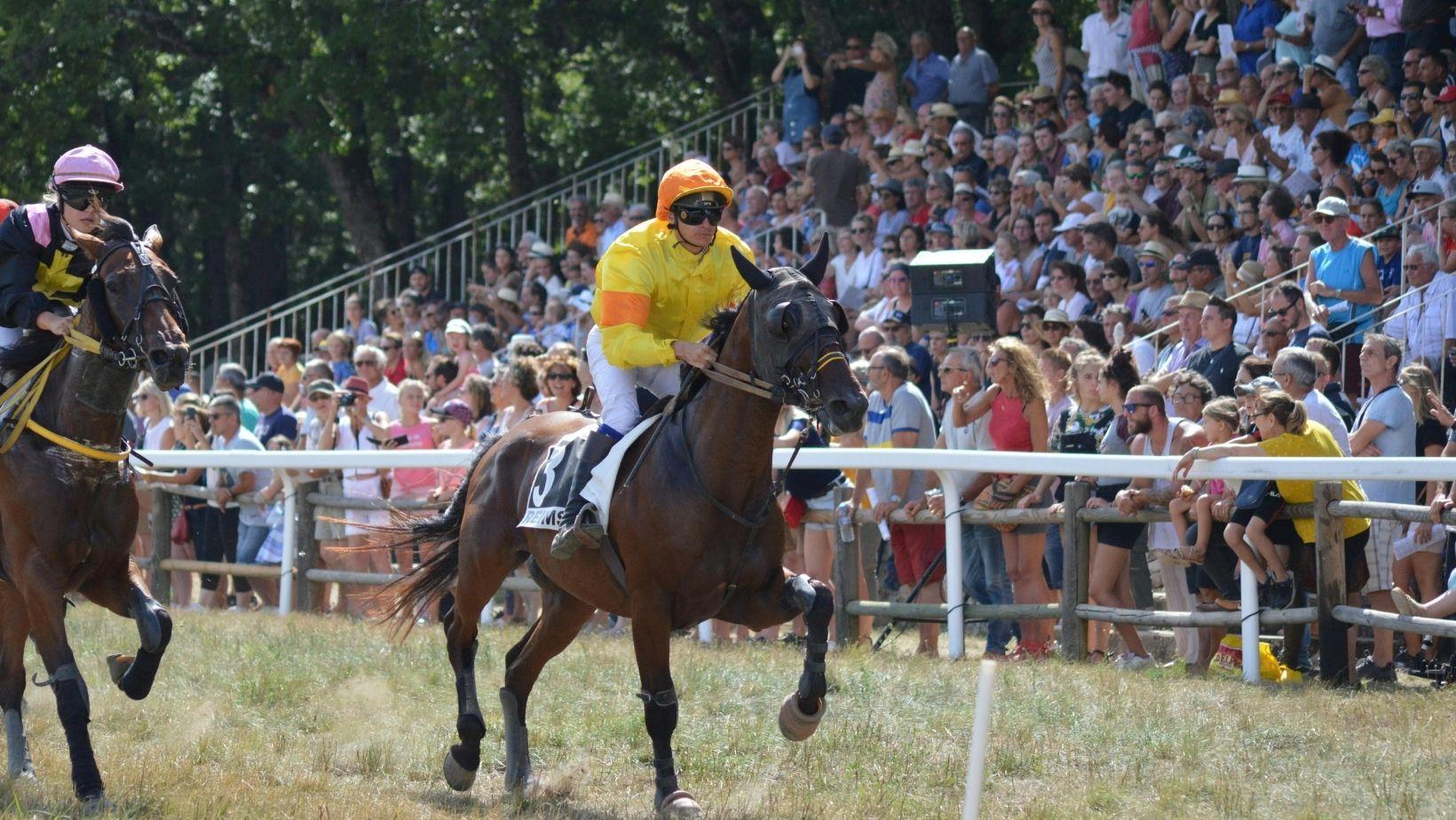 racehorse naming rules, thoroughbred registration guidelines, horse racing naming regulations, racehorse name restrictions, horse name registration process, thoroughbred naming standards, racehorse naming laws, equine naming conventions, registered racehorse names, horse racing industry rules