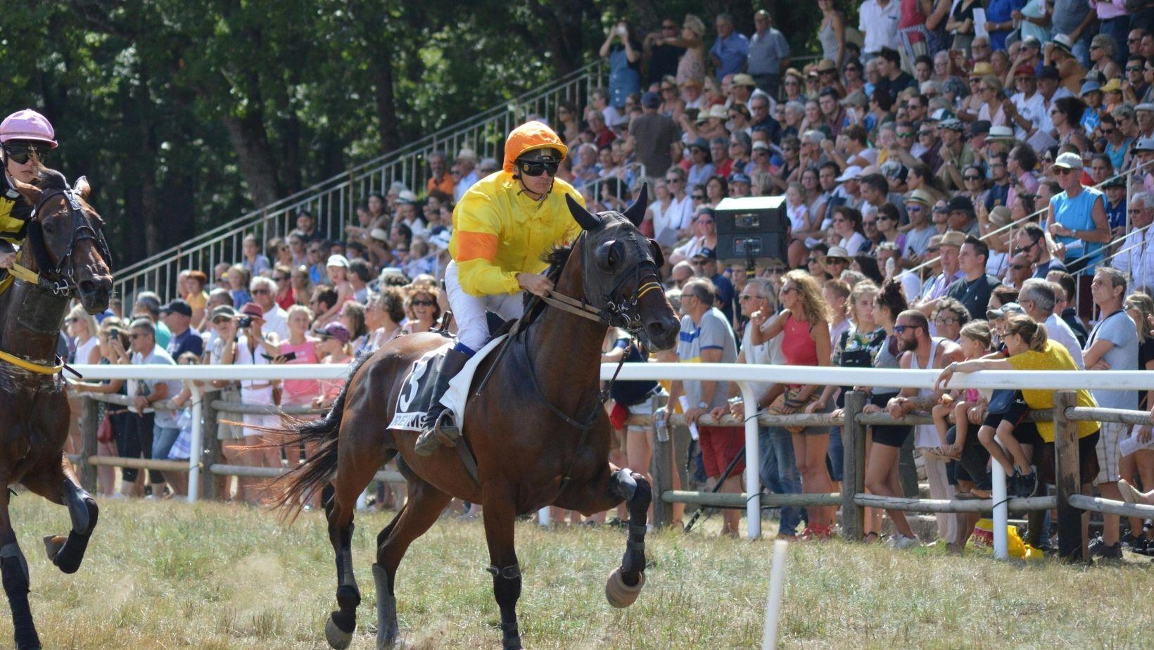 racehorse naming rules, thoroughbred naming regulations, horse racing naming guidelines, how to name a racehorse, racehorse name approval, racing horse name restrictions, equine naming rules, legally naming racehorses, racehorse registration requirements, racehorse naming tips